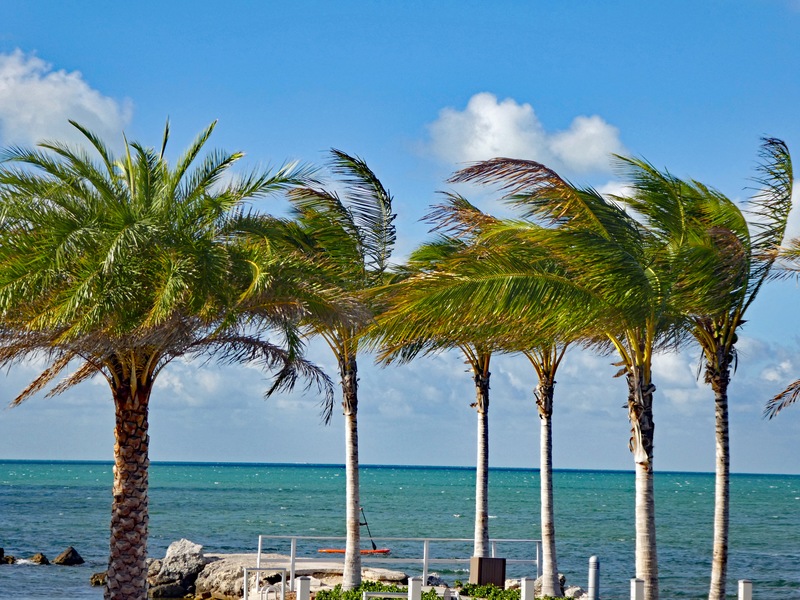 Marathon Florida Seafood Paradise